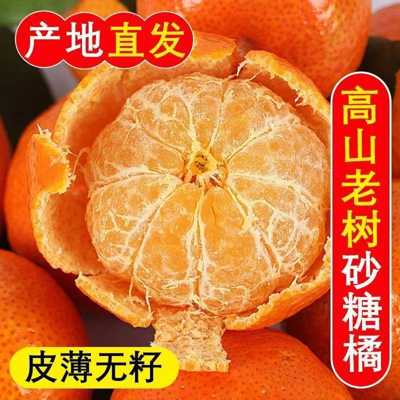 新鲜采摘5斤装金秋砂糖橘自家果园产皮薄多汁 水多新鲜