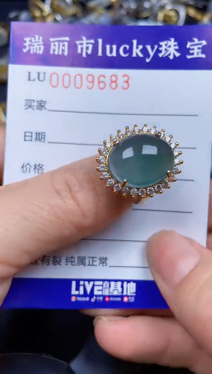 【闪购商品】翡翠颈饰银S925镶嵌9683