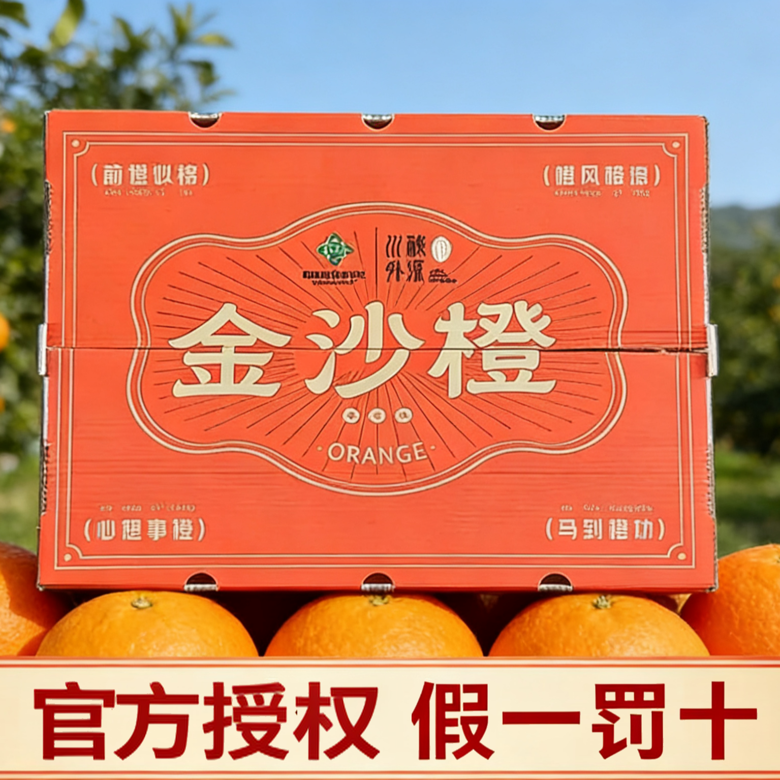 雷波脐橙金沙橙大凉山当季新鲜水果现摘现发坏果包赔 6-7斤礼盒版