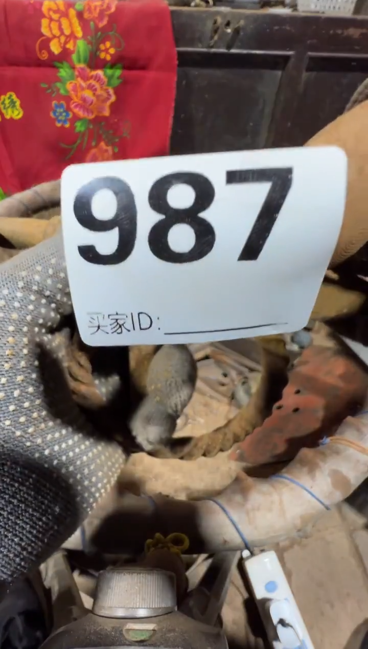 相**生08180老王直播间专属链接