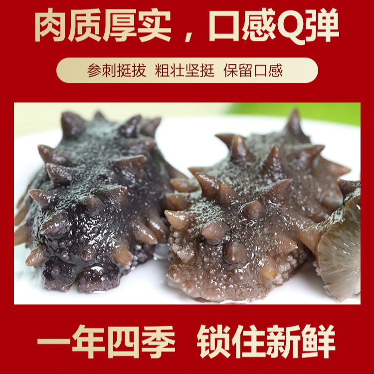 【宠粉尝鲜拍1发10】 正宗大连辽刺海参适合老人小孩