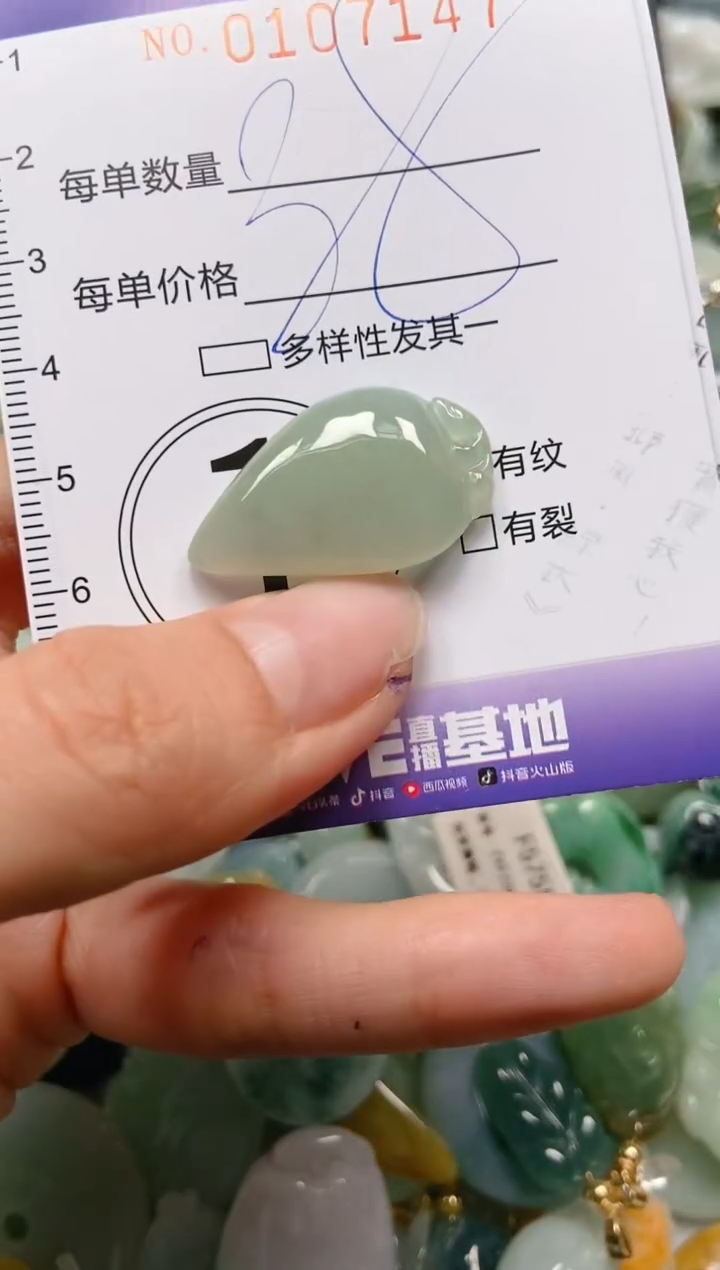 【闪购商品】翡翠颈饰未镶嵌闪购0107147