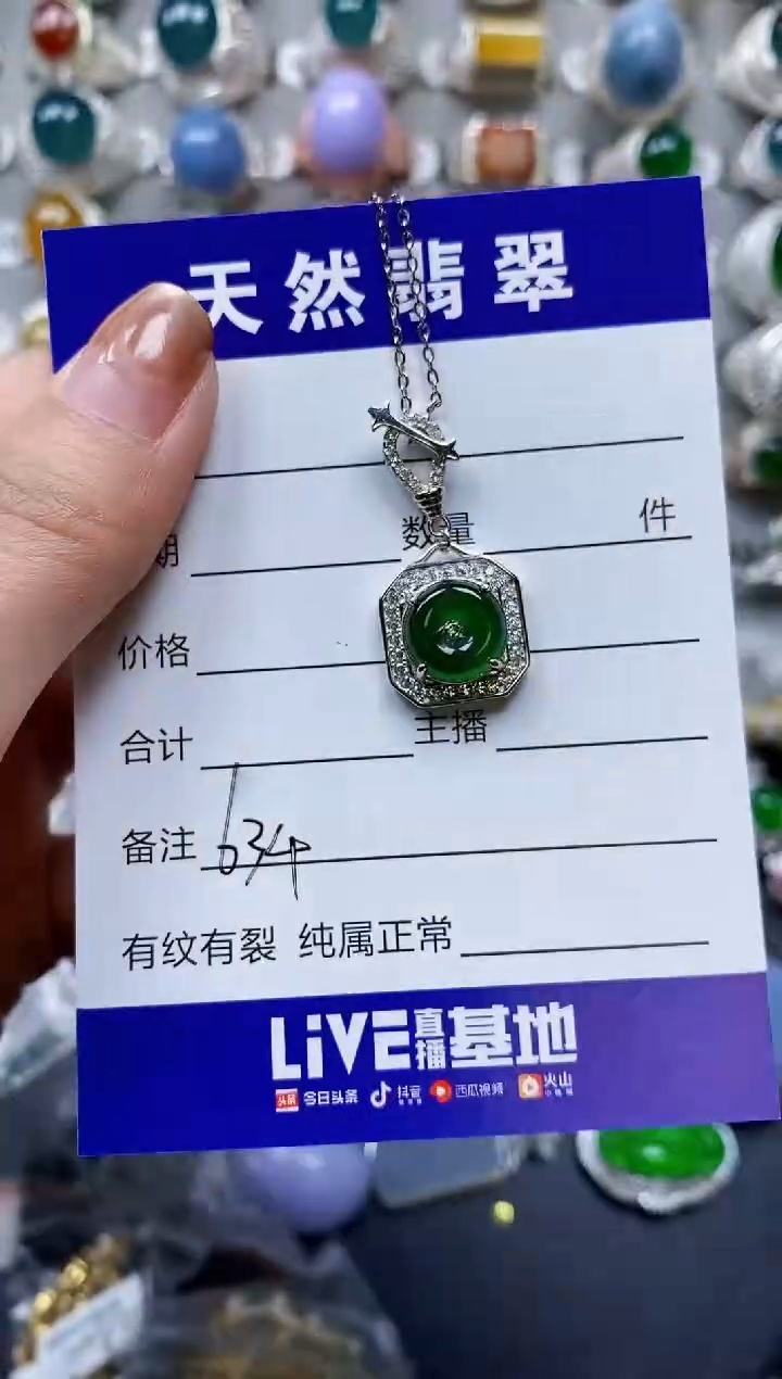 【闪购商品】翡翠颈饰银S925镶嵌0634