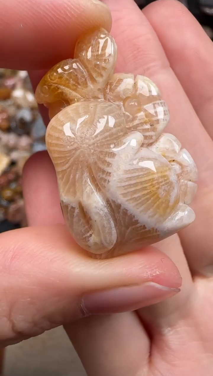 硅化珊瑚（珊瑚玉）未镶嵌颈饰678