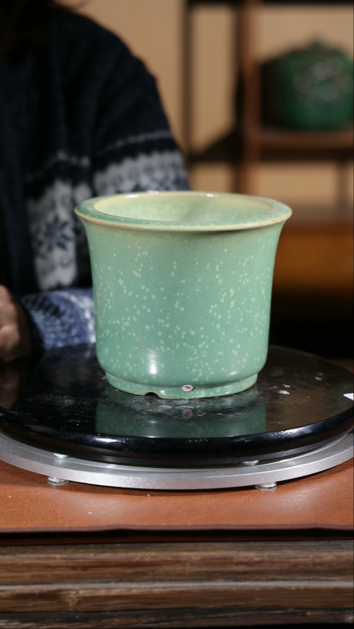 【闪购商品】红陶118