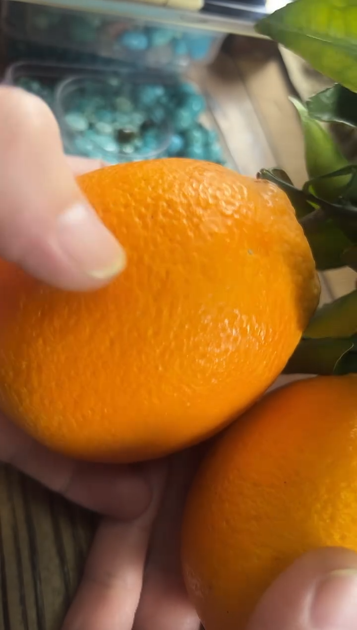 无非金属10斤一箱   拍两箱发三箱