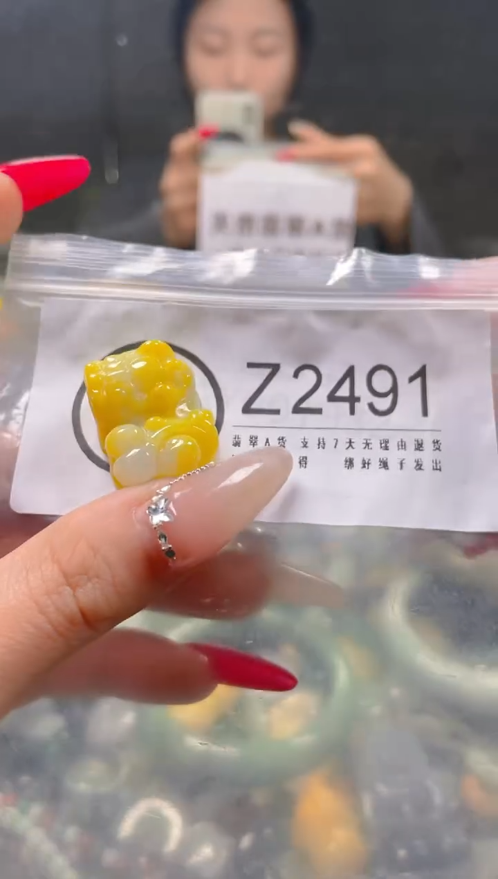 【闪购商品】翡翠颈饰未镶嵌/Z/翡翠A货一图一物