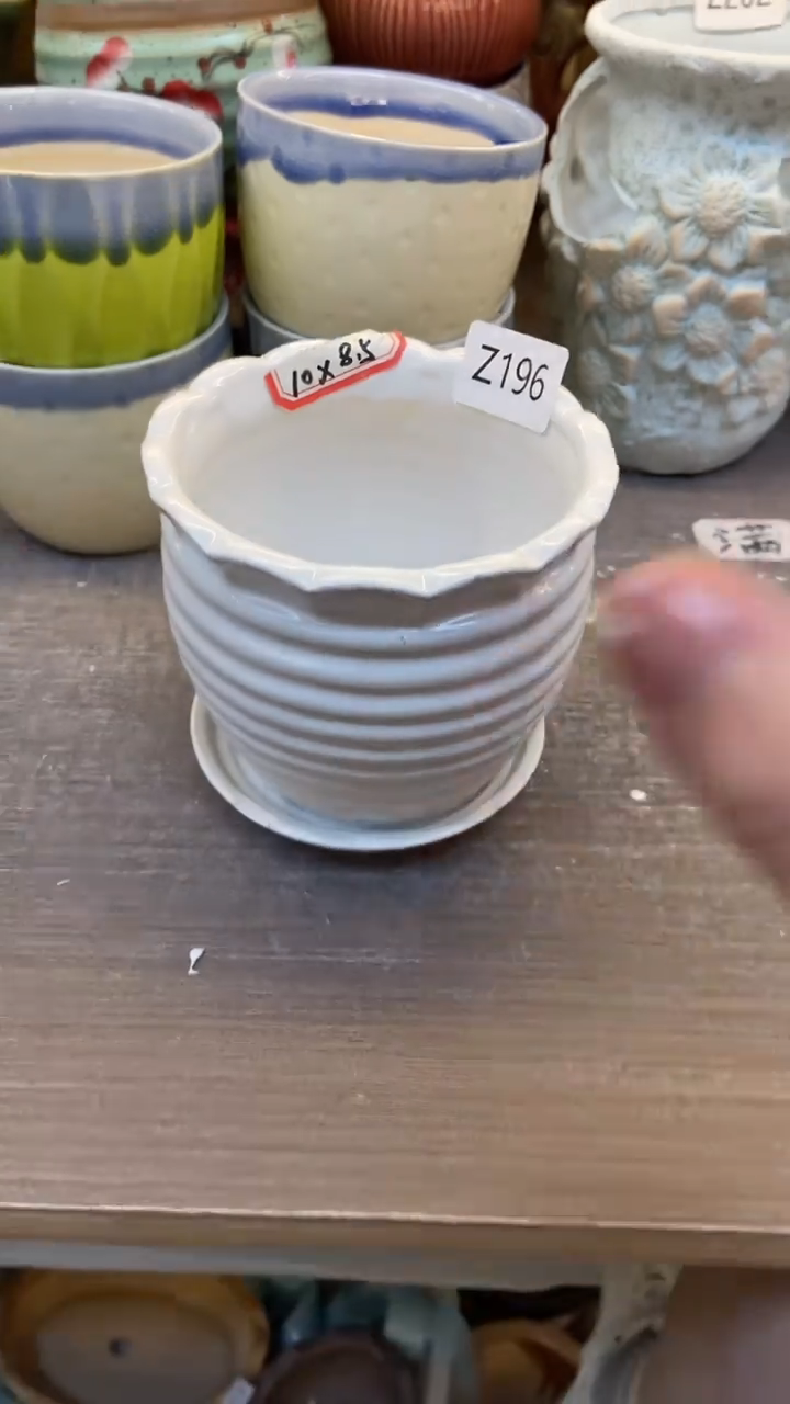 @@陶瓷多肉花盆Z196