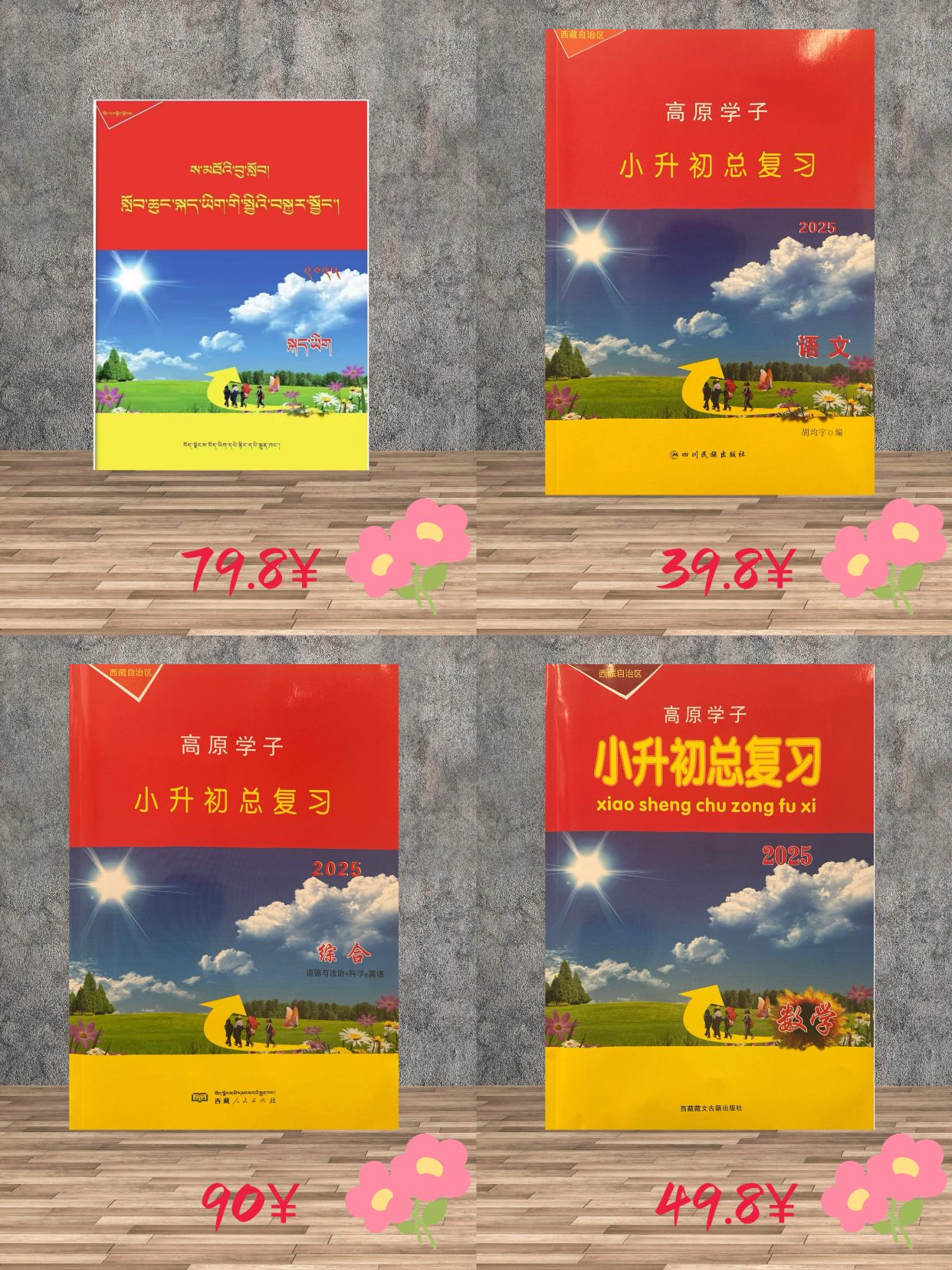 小升初总复习学习资料