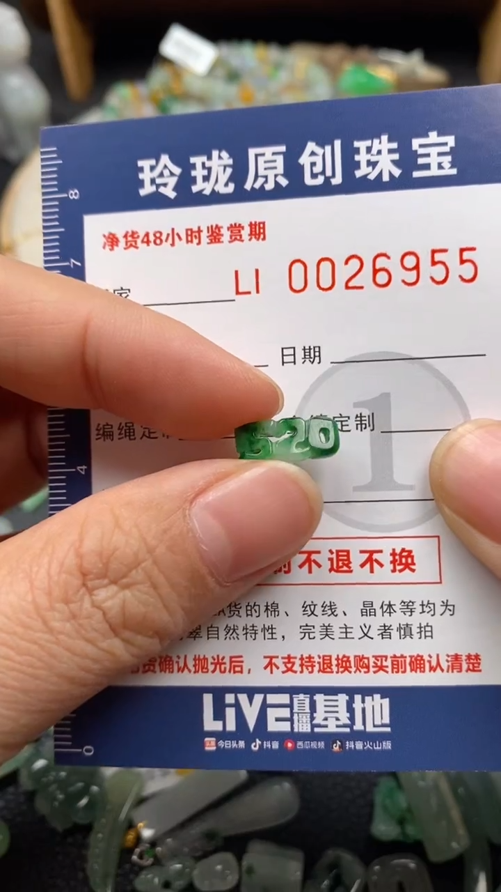 【闪购商品】翡翠颈饰未镶嵌翡翠净货26955