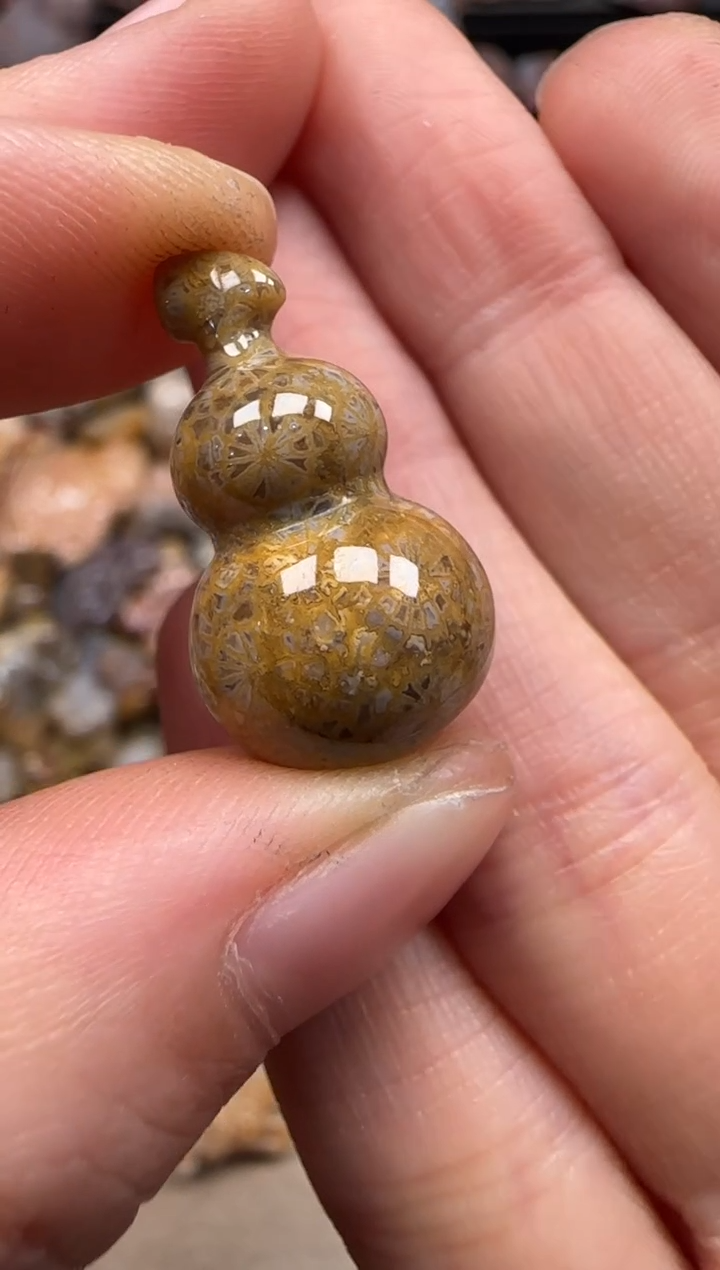 【闪购商品】硅化珊瑚（珊瑚玉）颈饰未镶嵌685