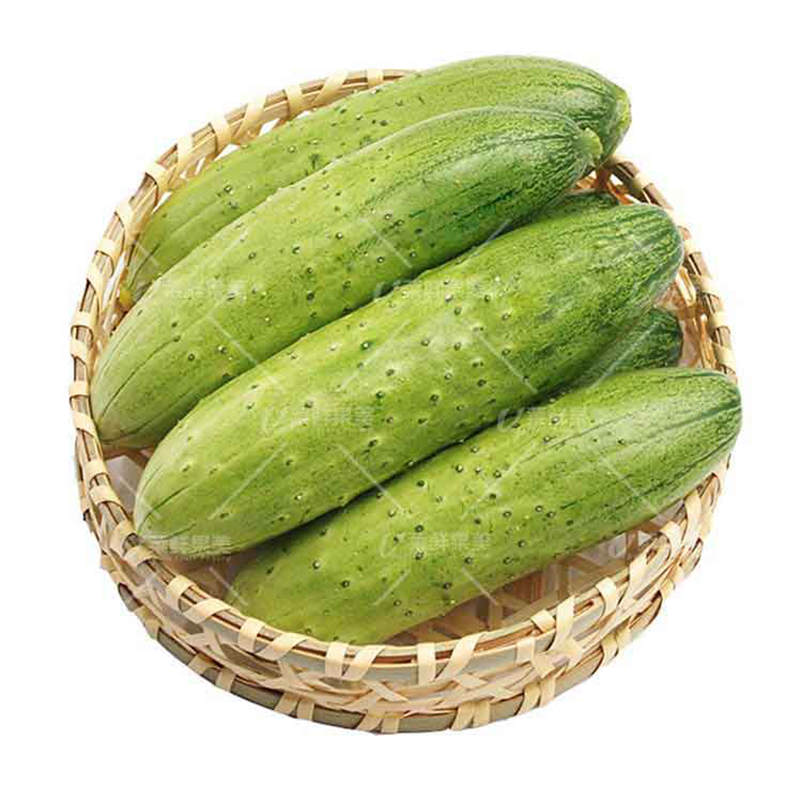 旱黄瓜500g±100g
