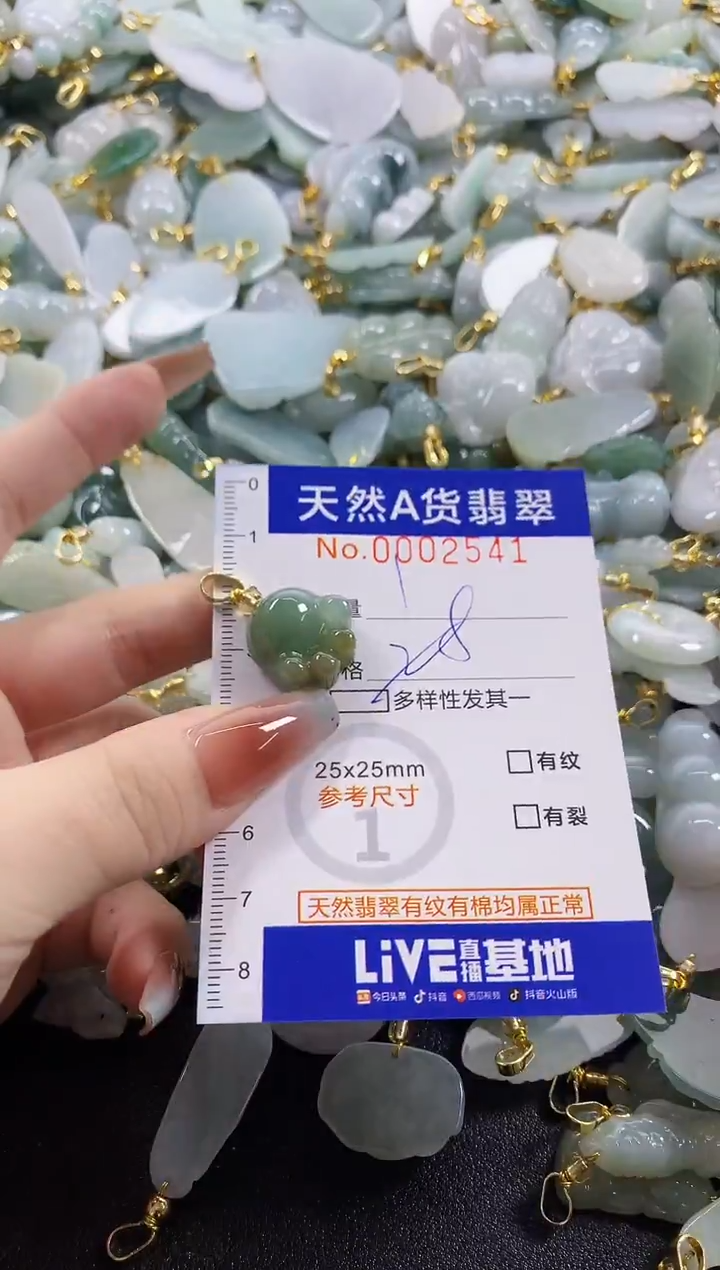 颈饰未镶嵌翡翠天然A货翡翠