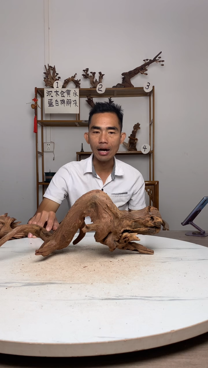 桦****司鱼缸造景沉木摆件