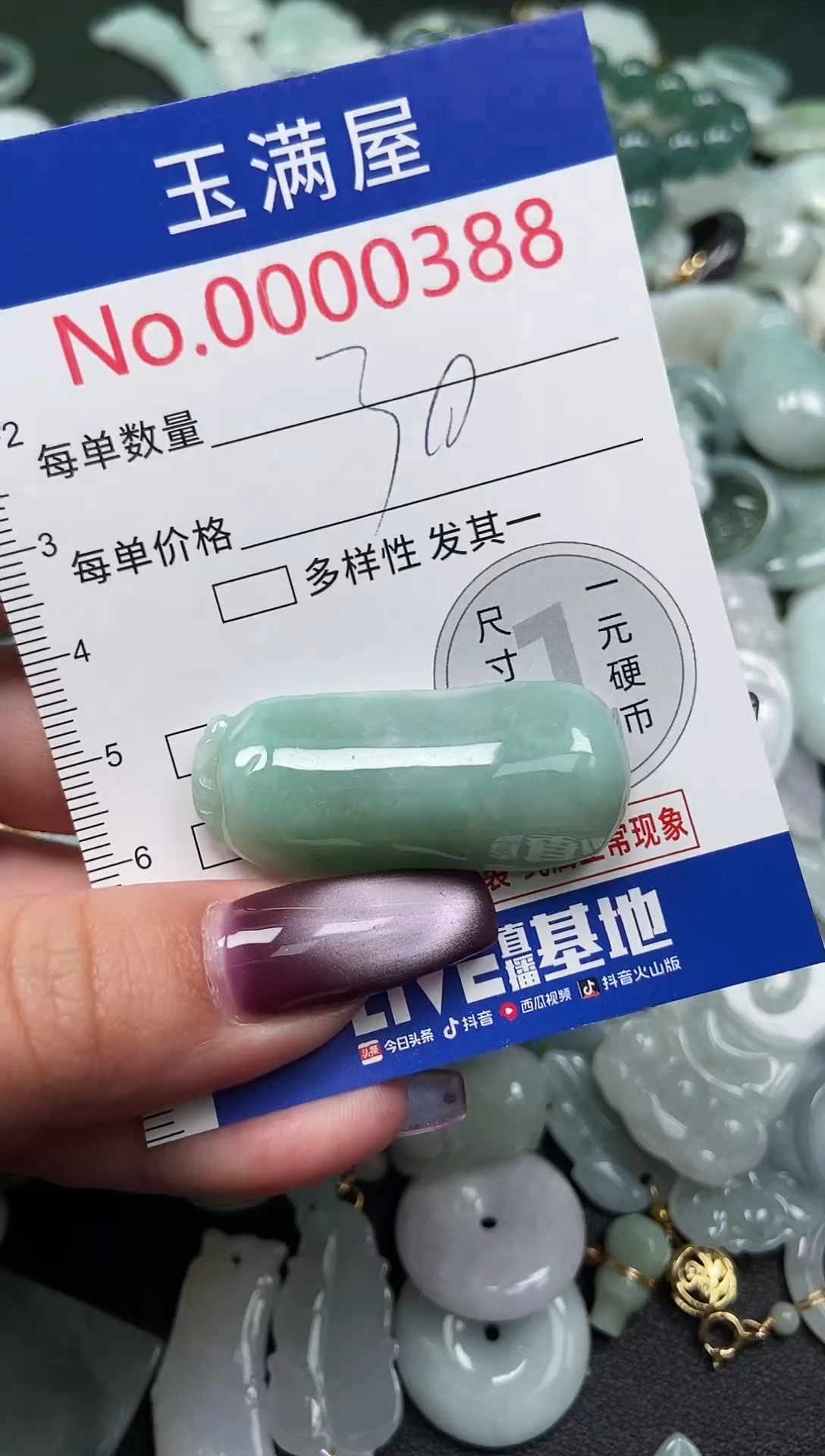 颈饰未镶嵌翡翠387