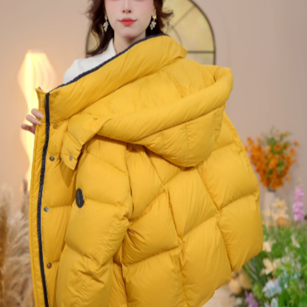 刘七七-2025新款时尚保暖羽绒服W55Q41953