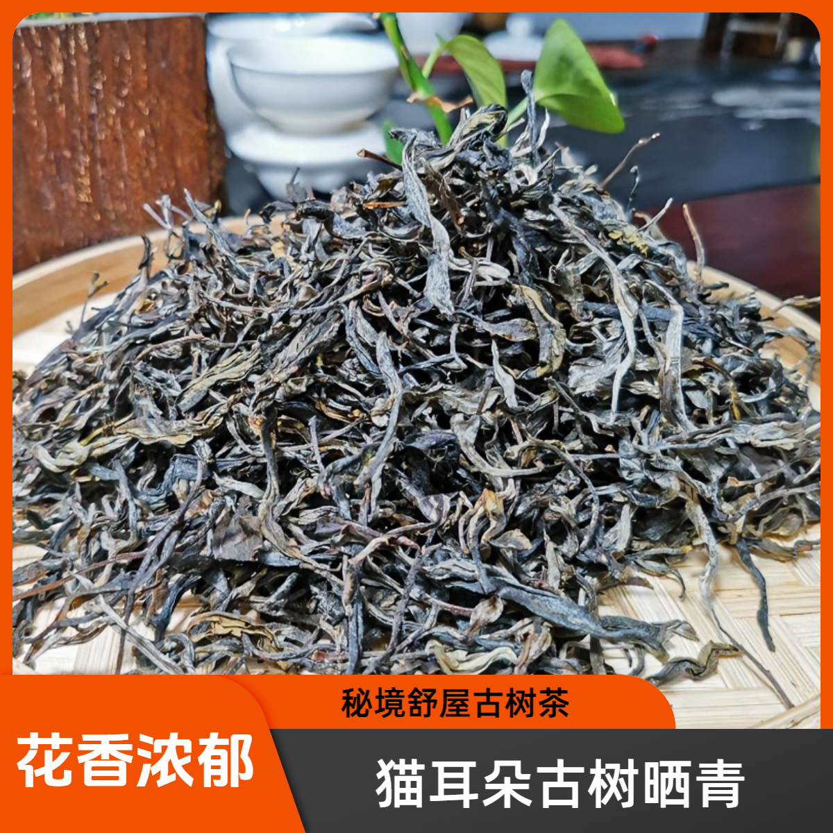 秘境舒屋古树茶2025年猫耳朵古树晒青茶（散茶）