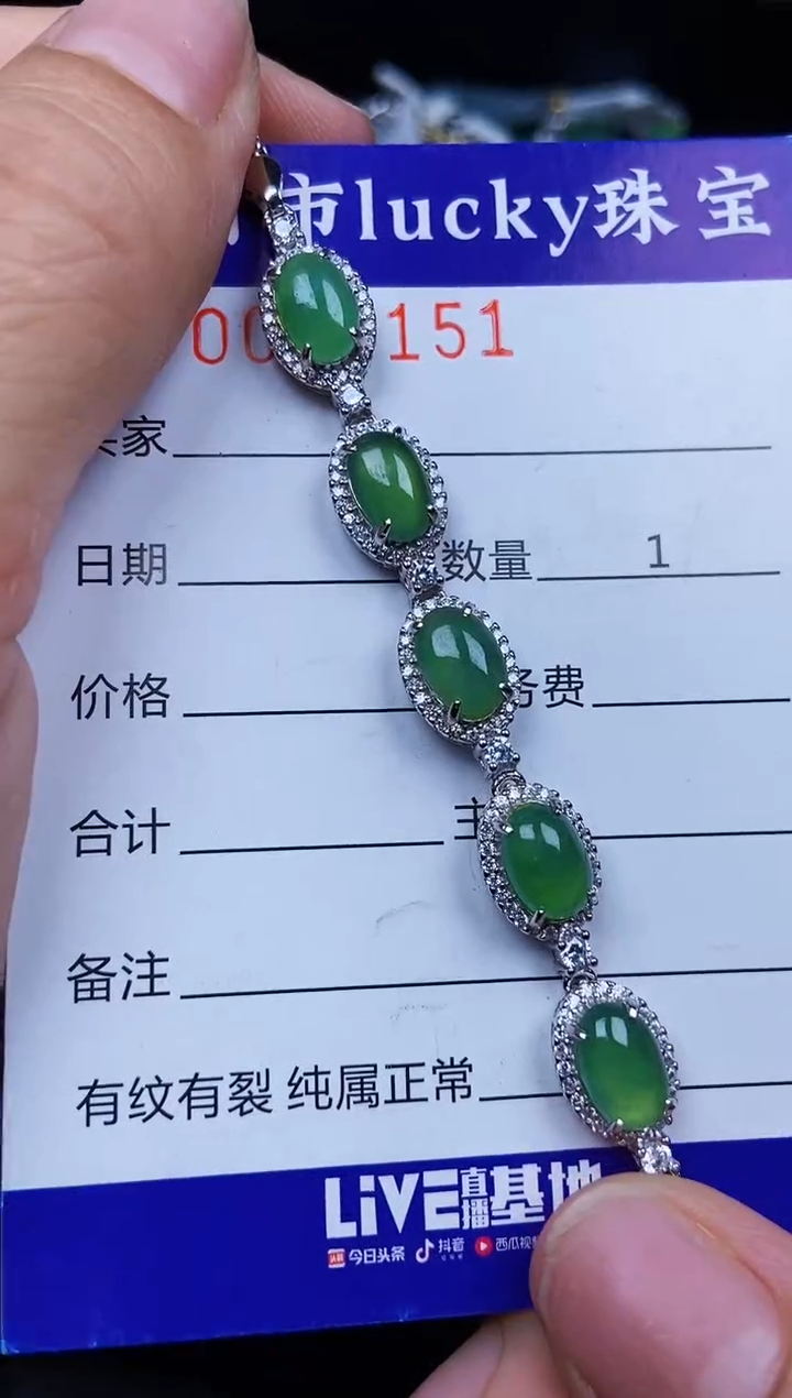 翡翠银S925镶嵌颈饰3151