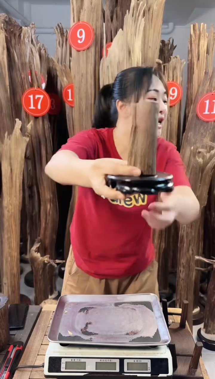 沉香碎屑沉香沉香多样性发一件81