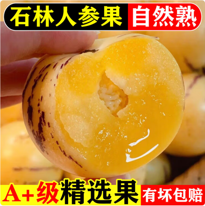 【家庭农场专属】生态农场种植石林树熟低糖低脂人参果黄皮黄肉圆果