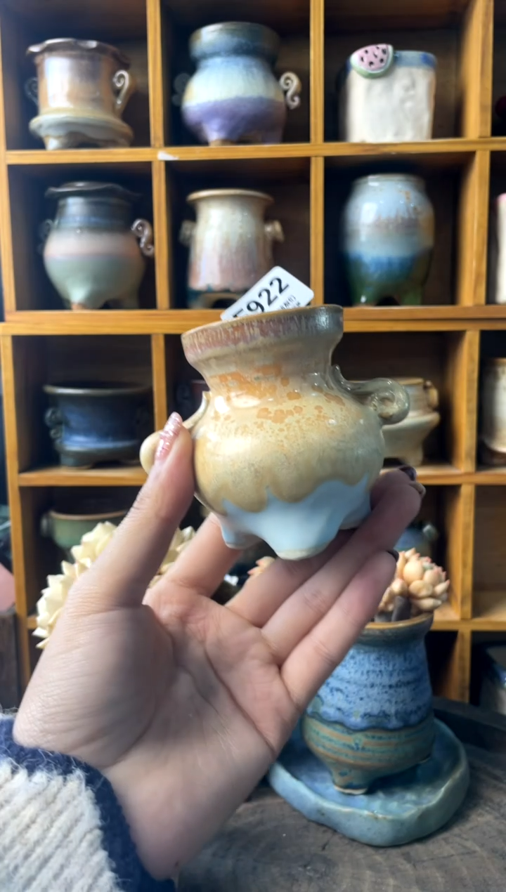 922内口4.5【多肉花盆多肉盆】