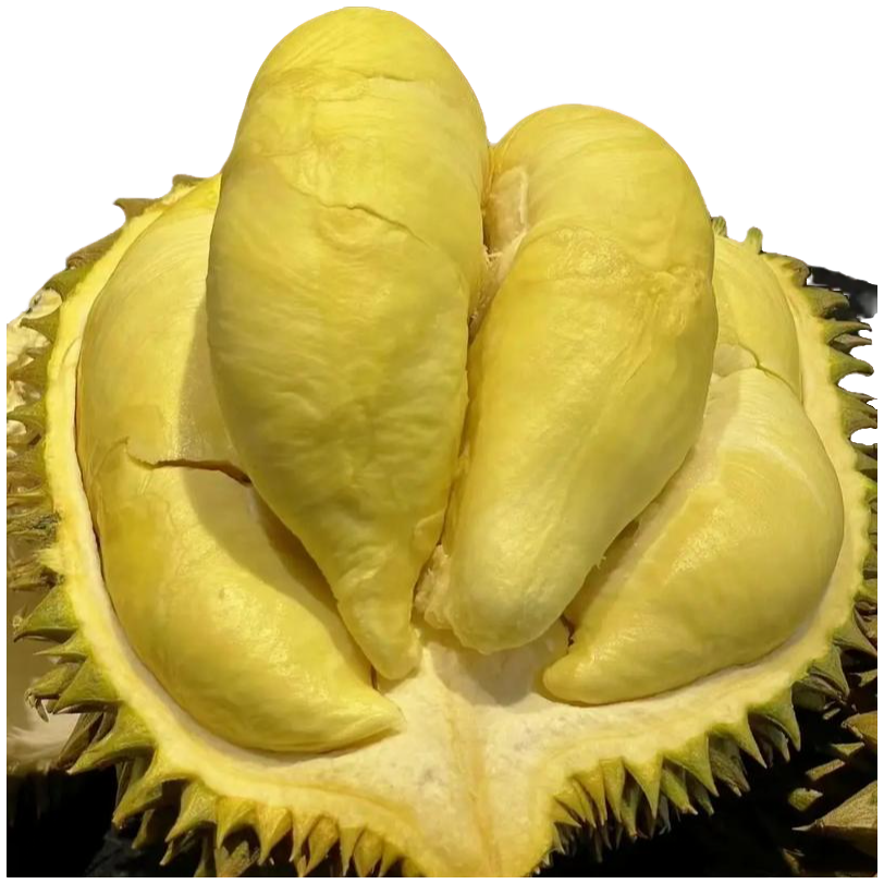 【余杭店】整果9-10斤带壳泰国金枕榴莲新鲜核小金枕泰国