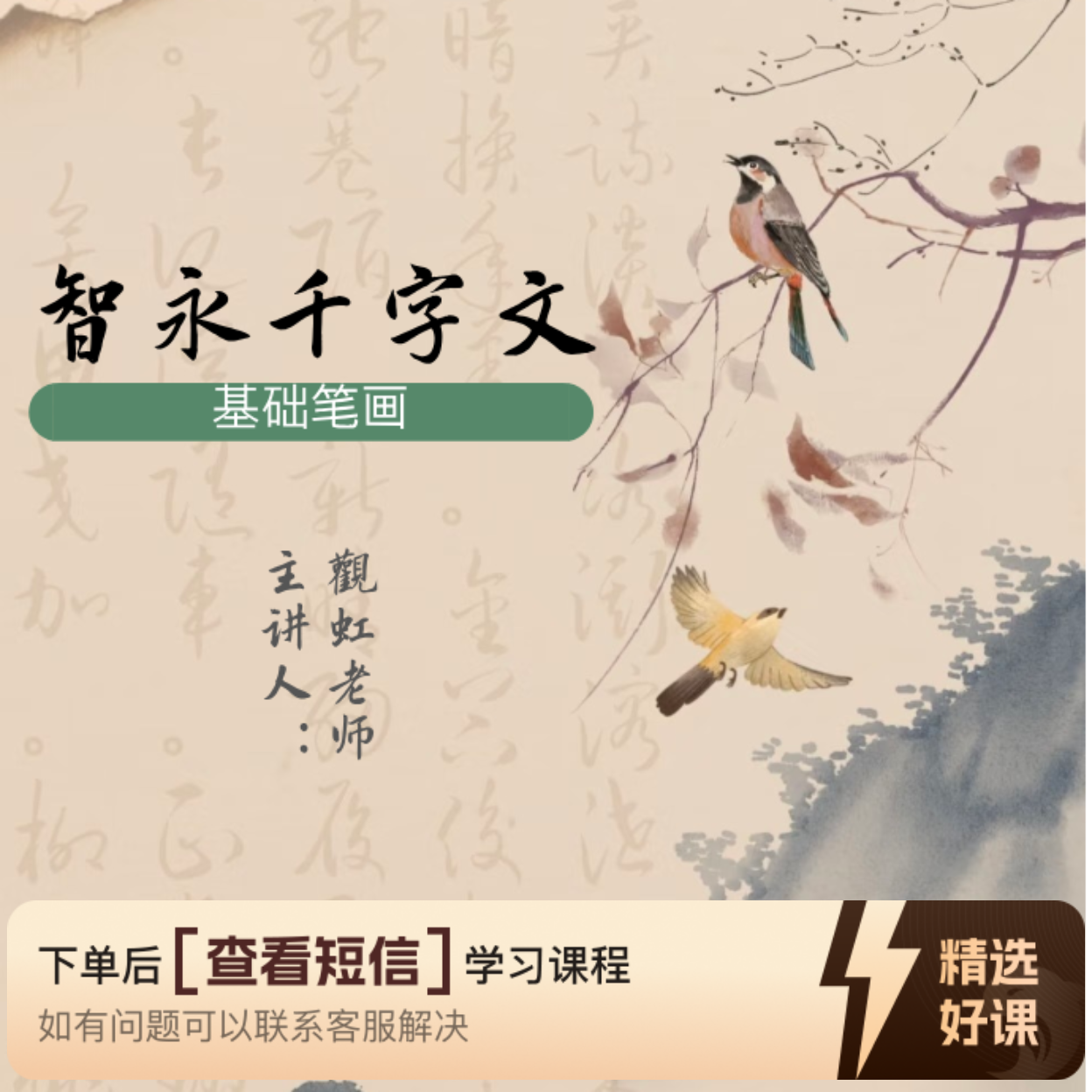 智永千字文基础笔画（留意短信解锁课程）