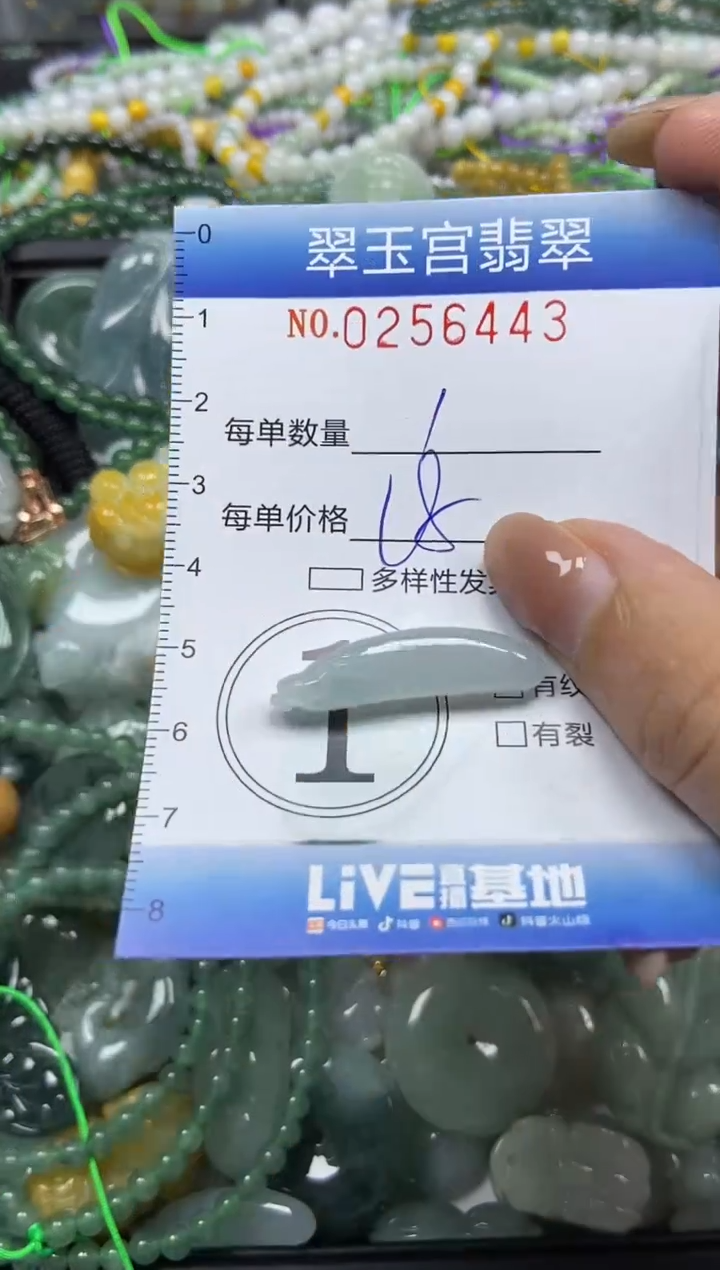 颈饰未镶嵌翡翠闪购C0256443