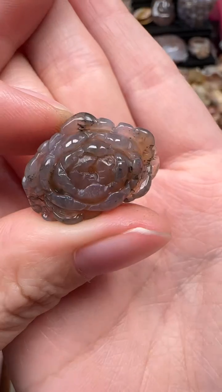 颈饰未镶嵌硅化珊瑚（珊瑚玉）725