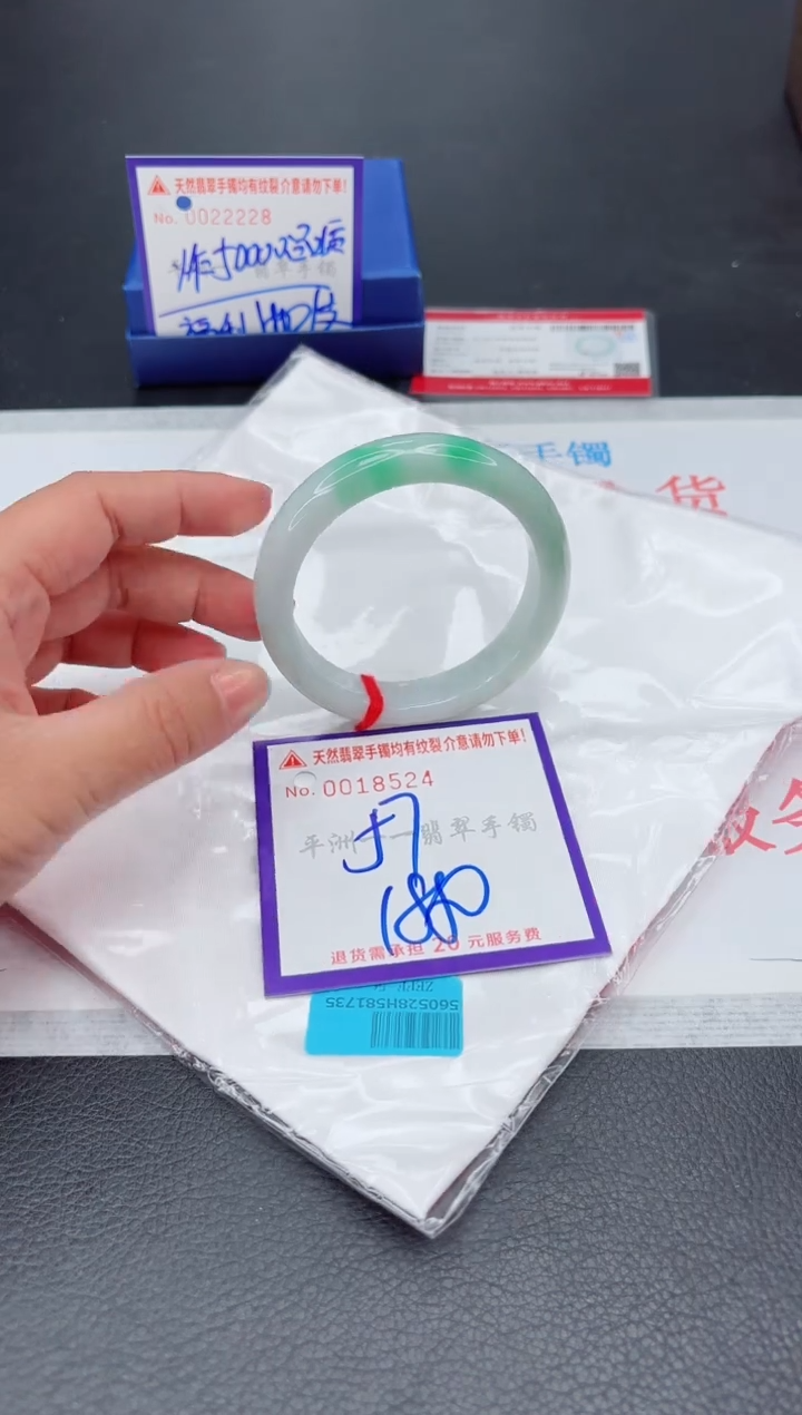 未镶嵌手镯翡翠1