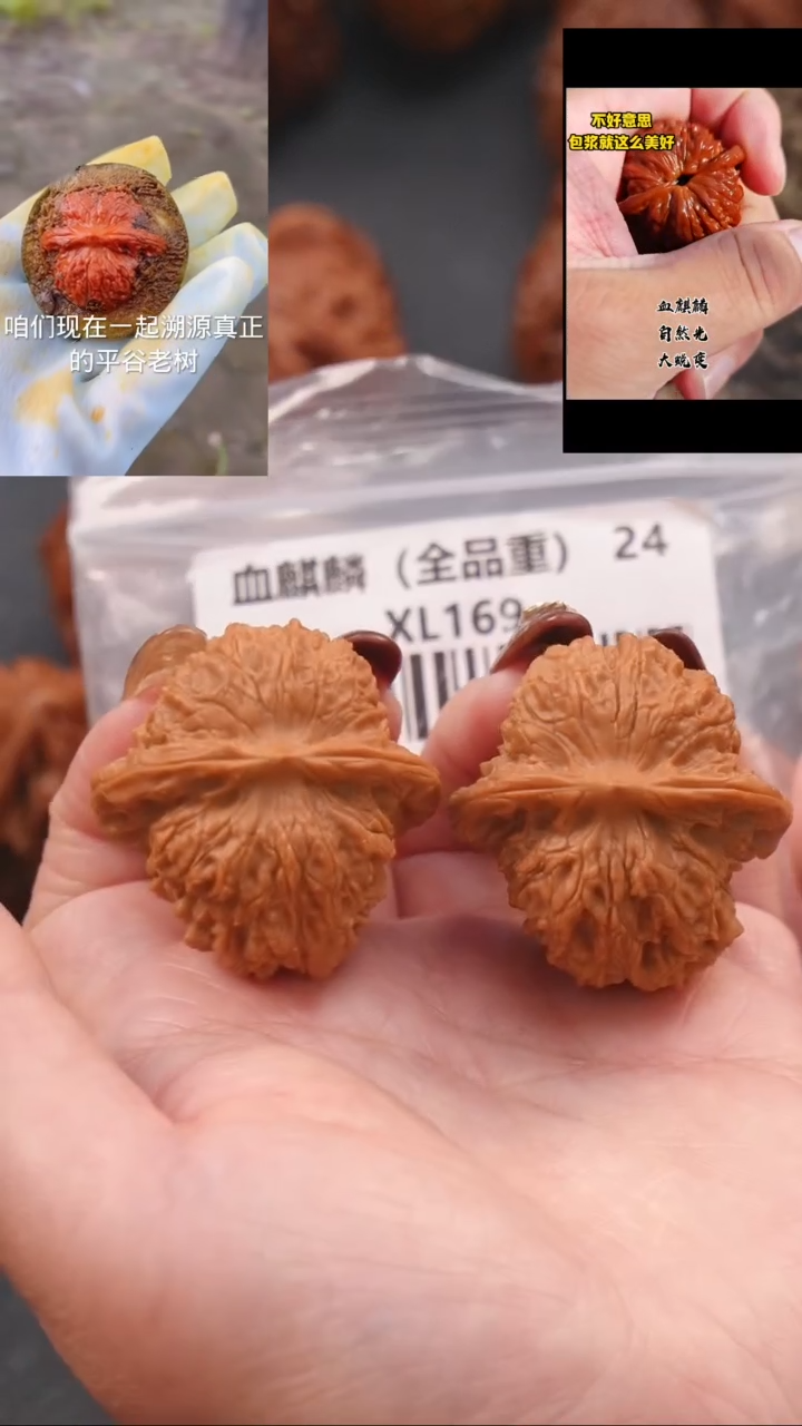 【闪购商品】文玩核桃把件40.5血麒麟狮子头（全品