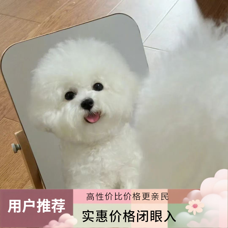 唯宠汇狗狗定金链接