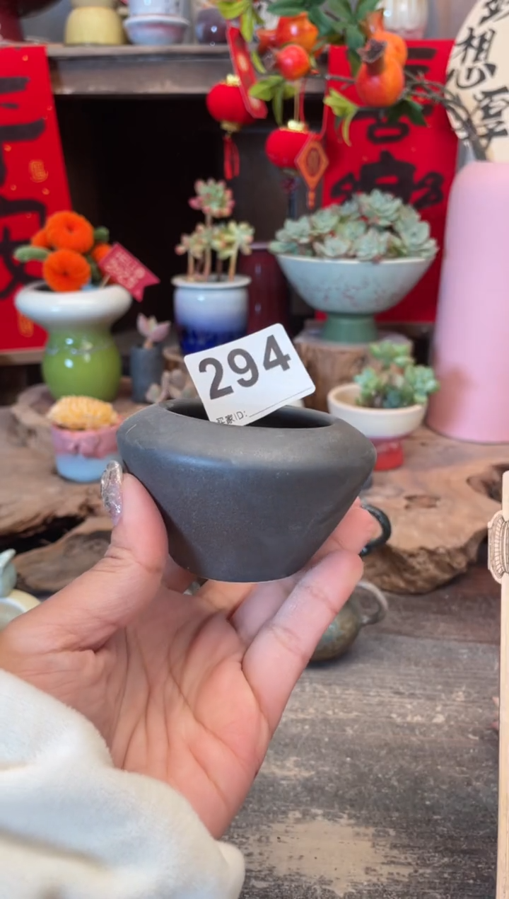 【闪购商品】摆件294知木小芳花盆