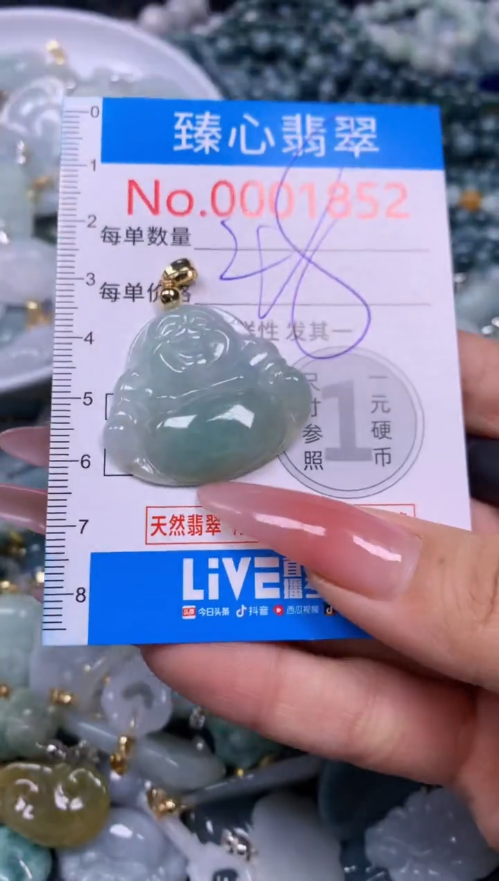 【闪购商品】翡翠颈饰未镶嵌含绳0001852