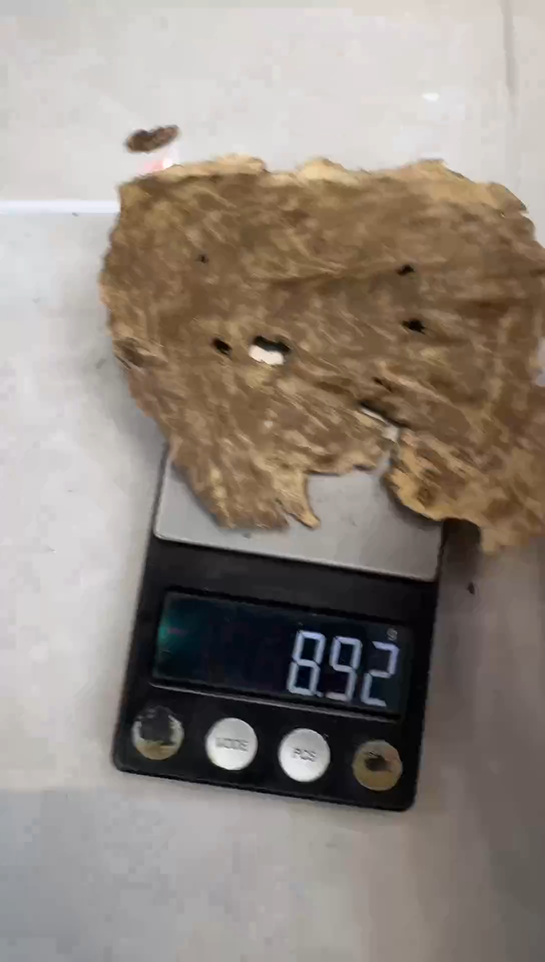 沉香6号香港原材料