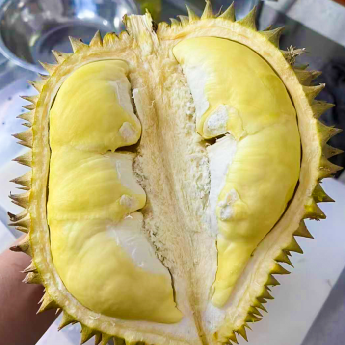 一品一拍新鲜泰国金枕榴莲3-6斤核小榴莲同城送金枕泰国