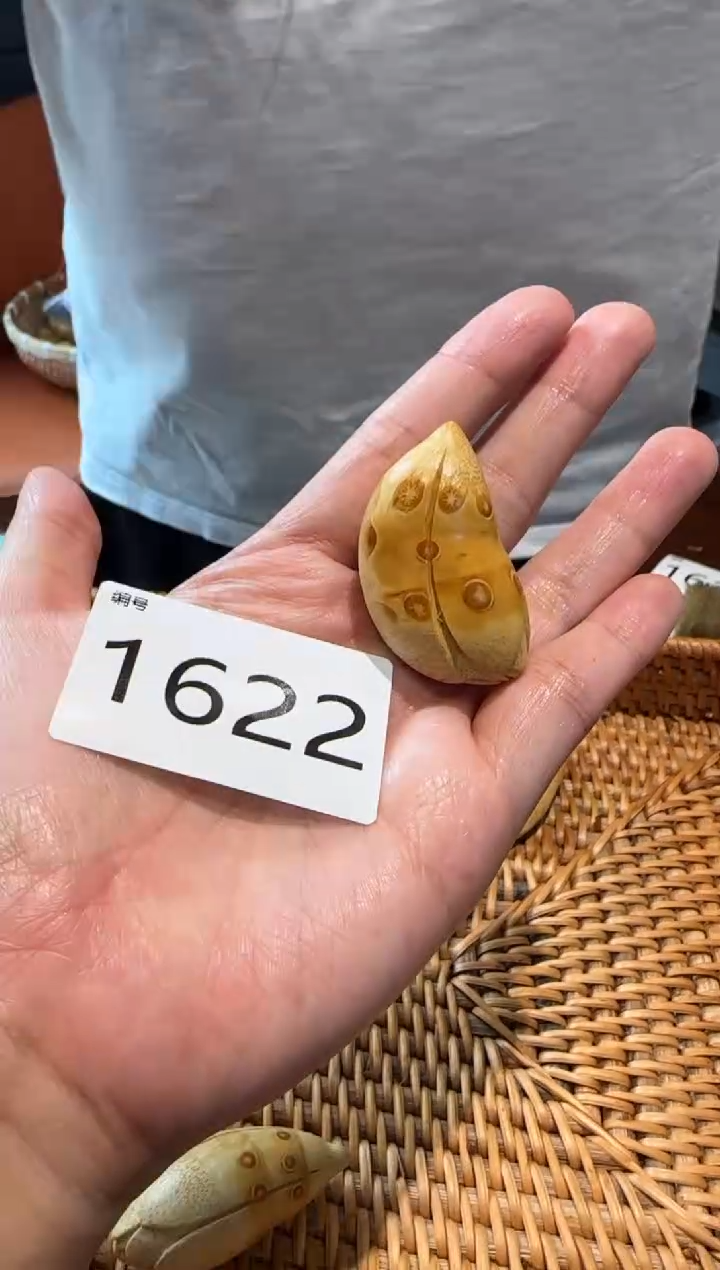 【闪购商品】竹1622竹根竹根竹根玉兰花