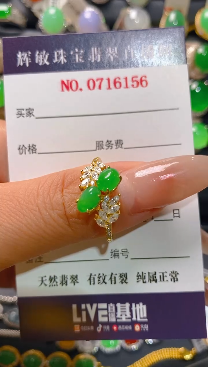【闪购商品】翡翠耳饰银S925镶嵌天然A货翡翠1