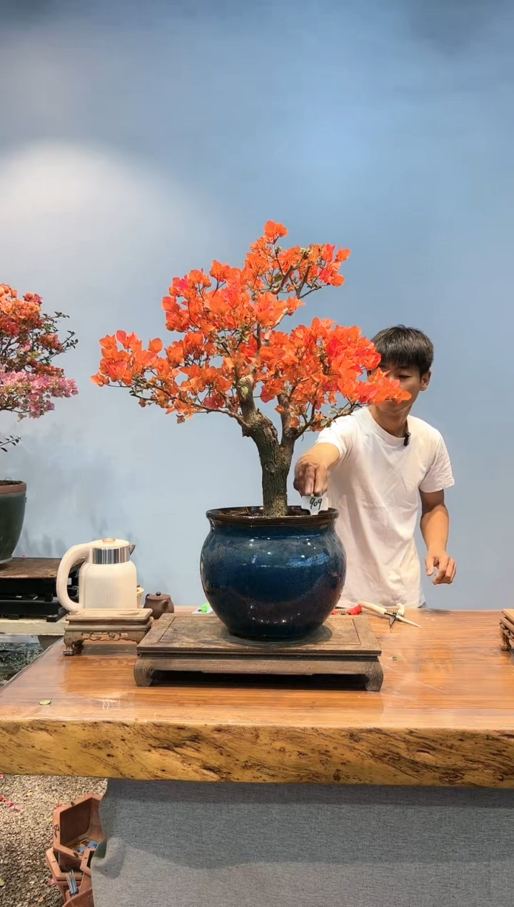 【闪购商品】aa909