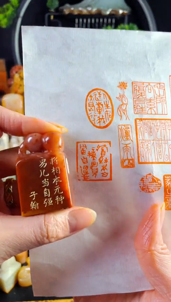 老挝石印石手工篆刻《将相本无种..》