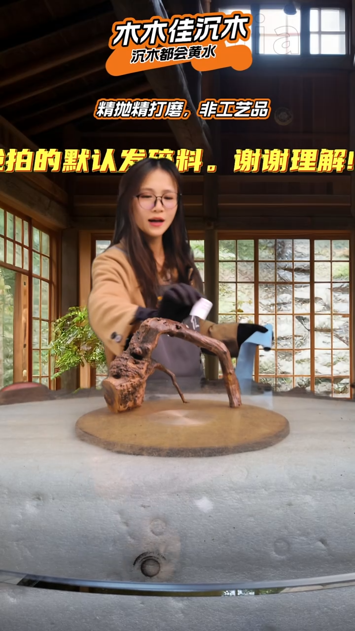 落***风木木佳沉木鱼缸造景-936