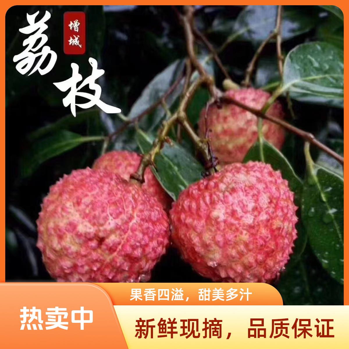 省内试吃装1.5斤顺丰冷链增城桂味老树荔枝现摘现发大果新鲜水果