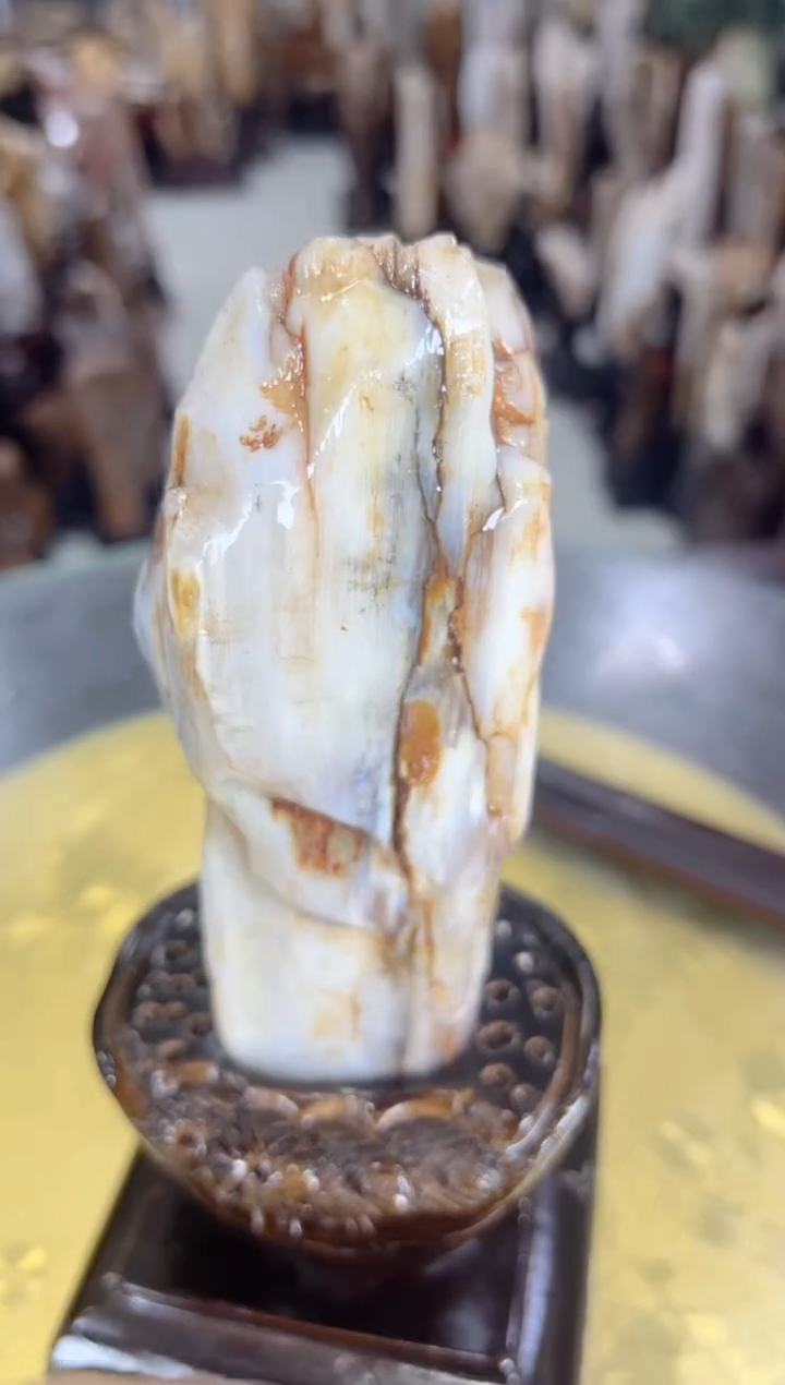 【闪购商品】硅化玉珠宝奇石未镶嵌缅甸天然树化玉