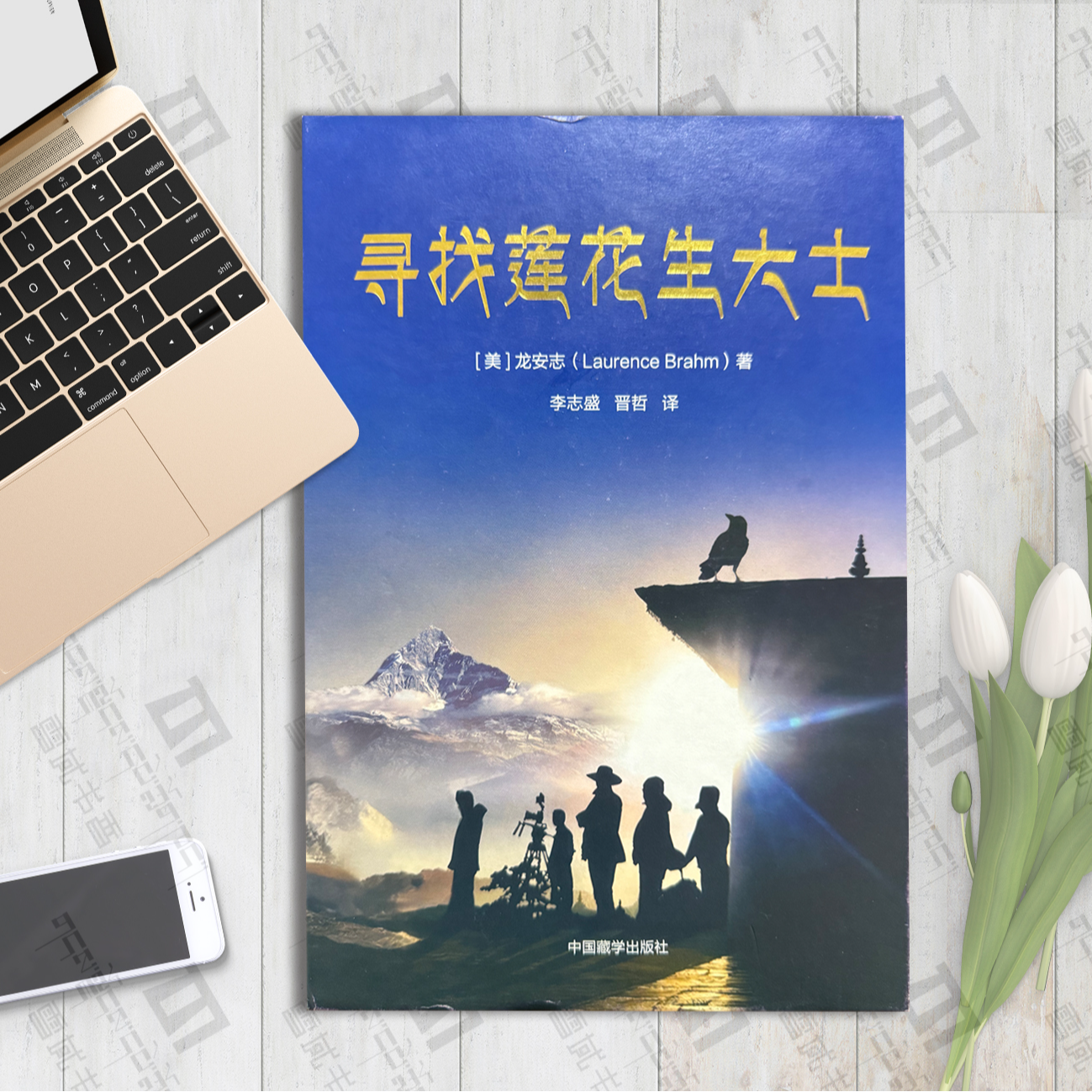 寻找莲花生大士：中文索达吉堪布书籍