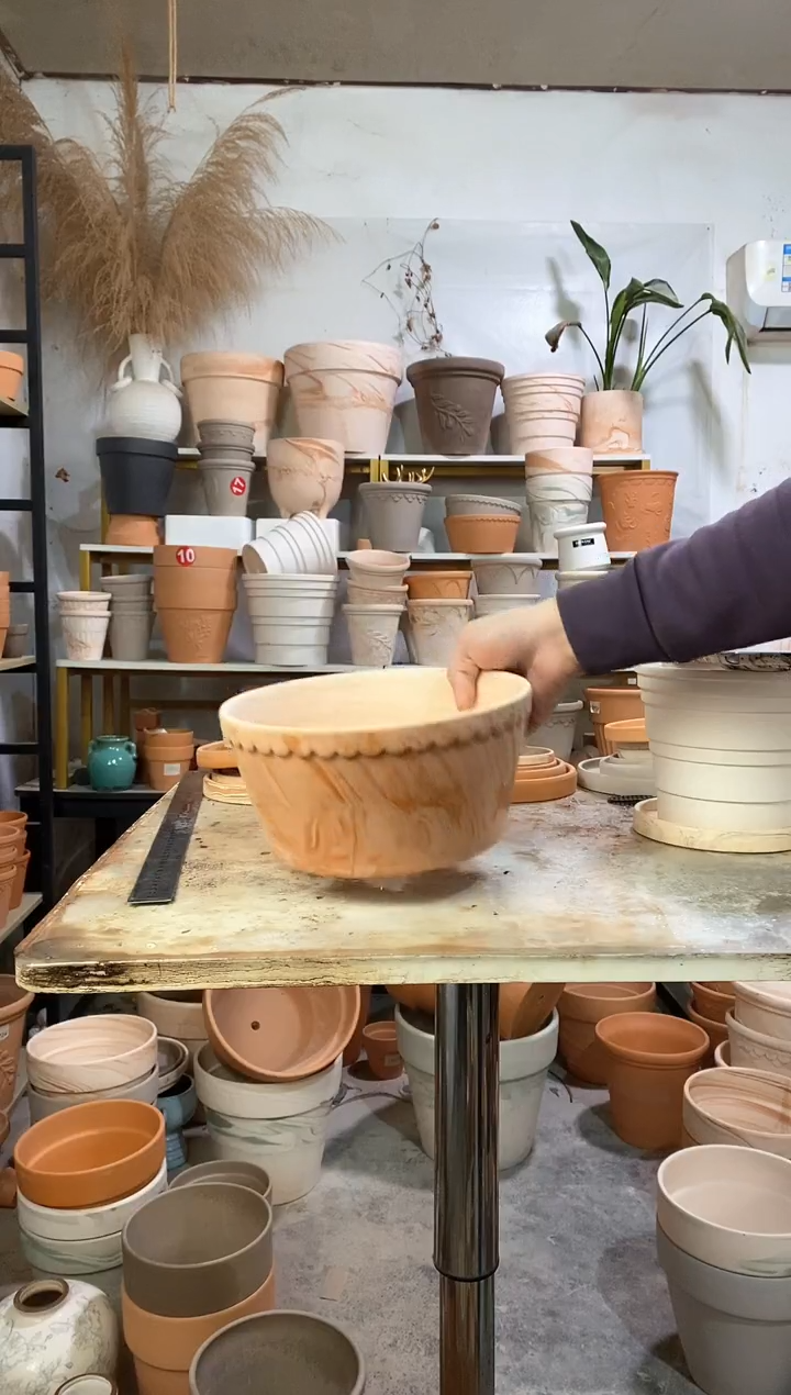 22*10玛奇朵矮盆 1盆无托