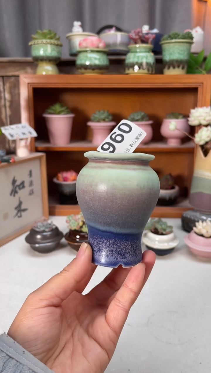 瓷片960小芳直播编号