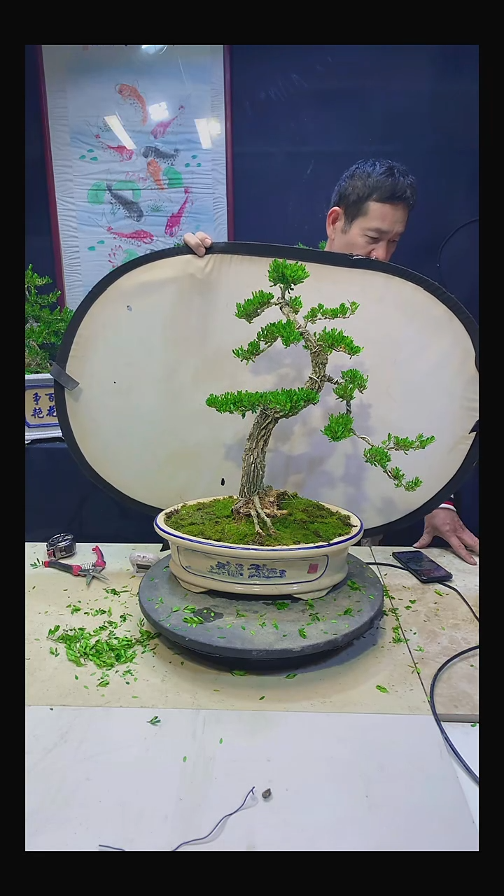 无花朵远*1111111111111