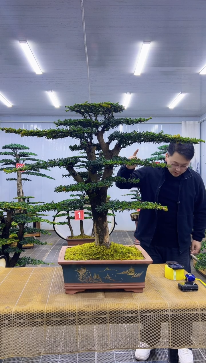 无花朵00000000000000000