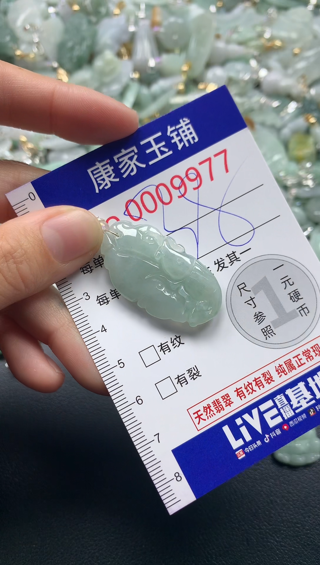 颈饰未镶嵌翡翠9977