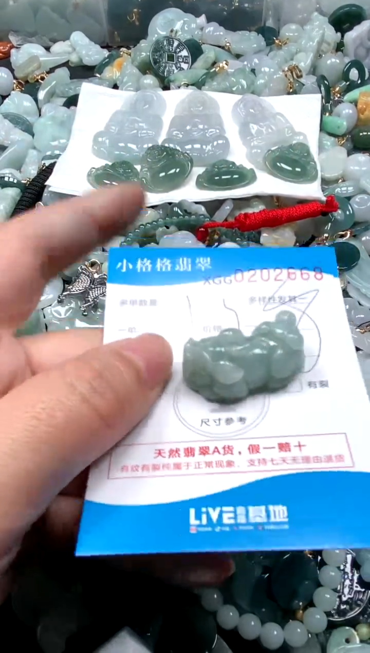 【闪购商品】翡翠颈饰未镶嵌闪购商品0202668
